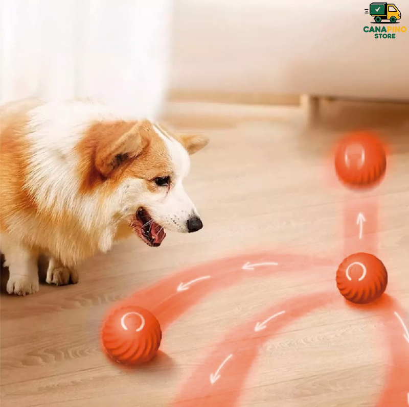 🥰PELOTA INTELIGENTE PARA MASCOTAS - Smartplay 🥰