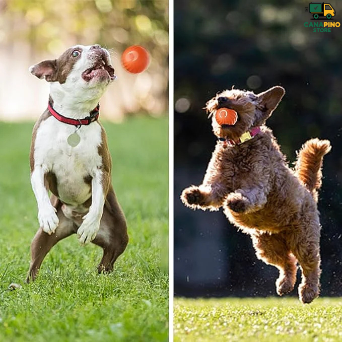 🥰PELOTA INTELIGENTE PARA MASCOTAS - Smartplay 🥰