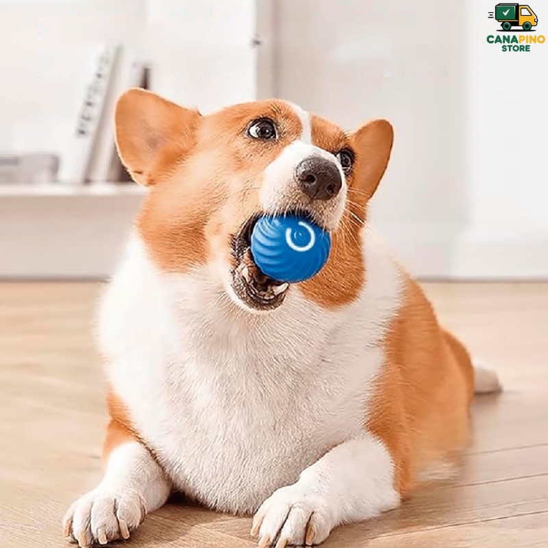 🥰PELOTA INTELIGENTE PARA MASCOTAS - Smartplay 🥰